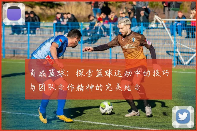 肖成篮球：探索篮球运动中的技巧与团队合作精神的完美结合