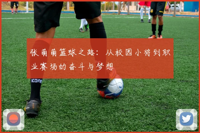 张萌萌篮球之路：从校园小将到职业赛场的奋斗与梦想