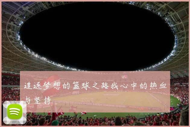 追逐梦想的篮球之路我心中的热血与坚持